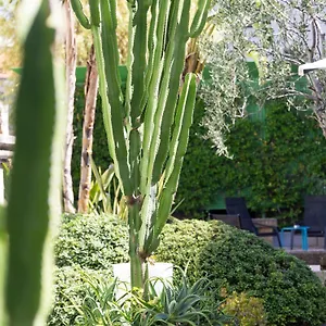 Mercure Centre Notre Dame Hotel Nicea